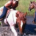 Buyer Avatar