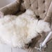 SheepSkinGallery