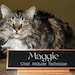 Maggie