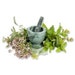 OldeThymeApothecary