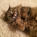 Fiona