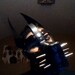 Buyer Avatar