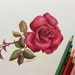 Buyer Avatar