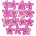 pressedflowershopuk