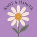knotaflower