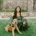 TheDogMomNPopShop