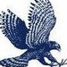 Falconhawk