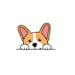 Kawaii Patches