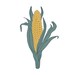 Native Roots Farm Foundation