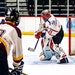 OKGoalie