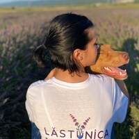 Lastunica