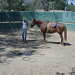 Dawn Canter