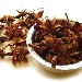 spiceshoppe avatar