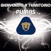 Buyer Avatar