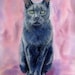 Buyer Avatar