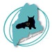 CoonCatsofMaine