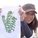 FiddlingFerns