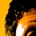 treschic53 avatar