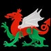 RebelDragonDesigns