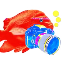 AwedFish