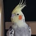 Christine Bennett avatar