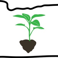 PDXPeppers