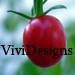 vividesigns