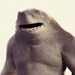Buyer Avatar
