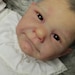 REBORNGALBARRO