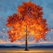StillArtPrints