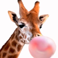 PincelPencil