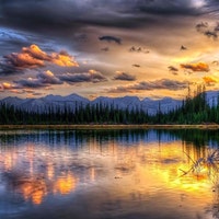 WildfirecraftsStudio