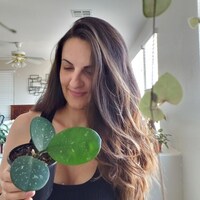 MyPlantShop