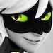 Buyer Avatar