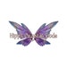Buyer Avatar