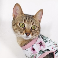 MirtilliGirl