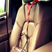 Handbag Halter