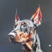 Buyer Avatar