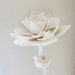 feltfernflower avatar