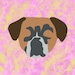 Buyer Avatar