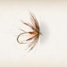Ross Damman