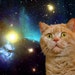 Space Cat