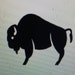 Buyer Avatar