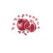 ThePomegranateStudio