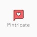 Pintricate