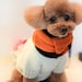 EllieTheKnittingDog