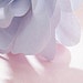 CorsivaDesign