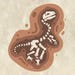 DinoTracks