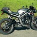 Buyer Avatar