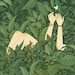 Buyer Avatar
